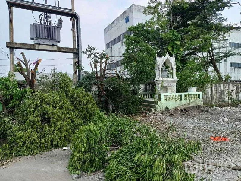 地 出租在Lat Krabang, Bangkok - 曼谷Lat Krabang围墙地块，现场可见电力变压器与小型神龛，绿树环绕。