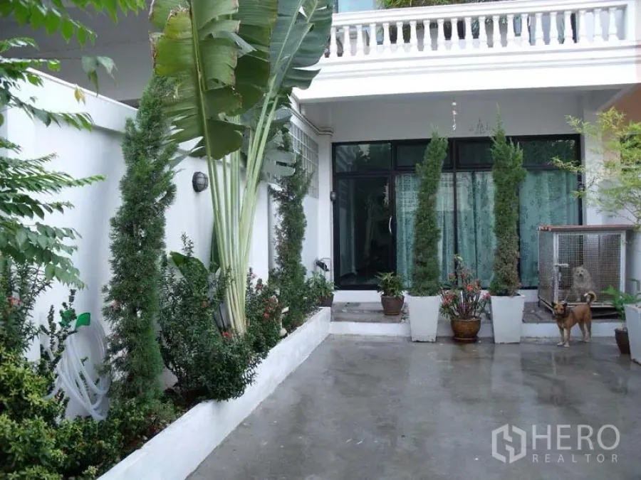 Townhouse for sale in Phra Khanong, Bangkok - Ground-floor terrace with sliding glass doors and lush vertical greenery beside the entry.
