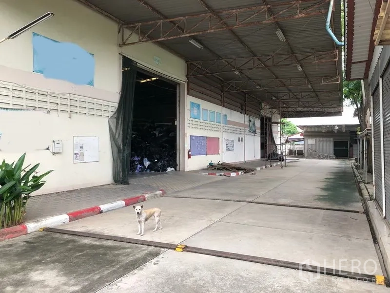 Factory for sale in Lam Luk Ka, Pathum Thani - Wide covered loading dock with tall roller door and truck-friendly access lanes.