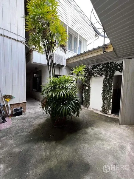 Townhouse for rent - Private courtyard with tropical plants between townhouse wings.