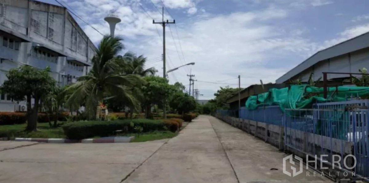 Factory for rent in Bang Pakong, Chachoengsao - Tree‑lined access road between industrial buildings with palm trees, power poles and clear skies.