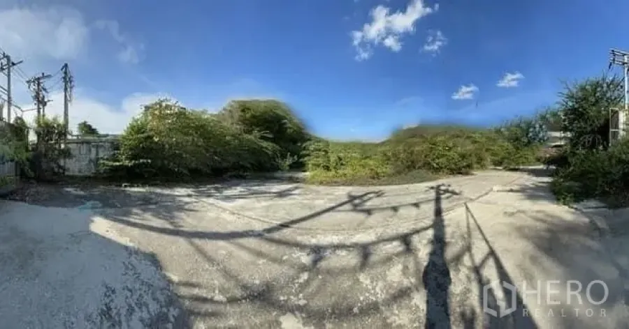 Land for rent in Phra Khanong, Bangkok - Wide paved land plot with utility poles and mature greenery under a bright blue sky in Phra Khanong, Bangkok.