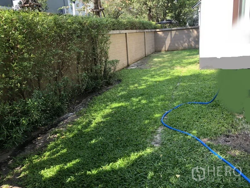 Detached House for rent or sale in Bang Kapi, Bangkok - Private side yard with long lawn, boundary wall and watering hose.