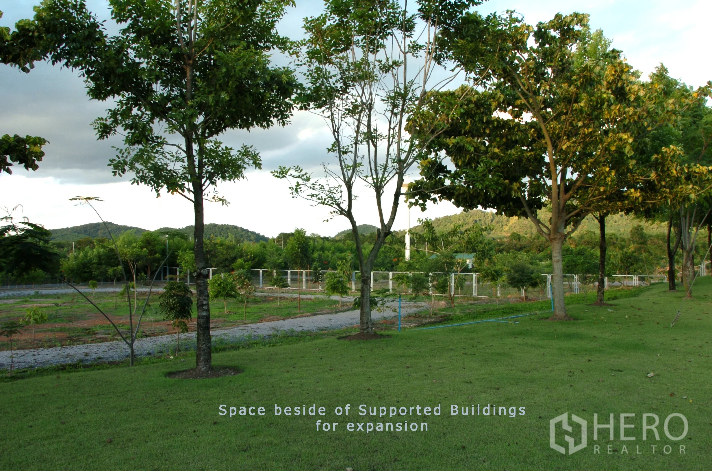 Factory for sale in Khao Chamao, Rayong - Large green expansion area with trees and mountain views beside the support buildings.