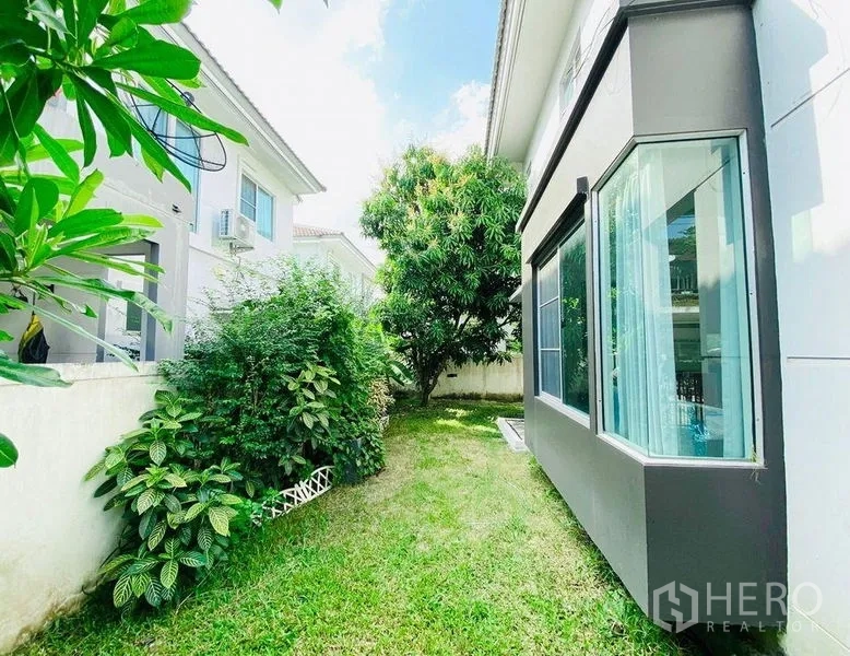 Detached House for rent - Sunlit side garden with lawn, shrubs and a mature tree beside a modern detached house in Prawet, Bangkok.