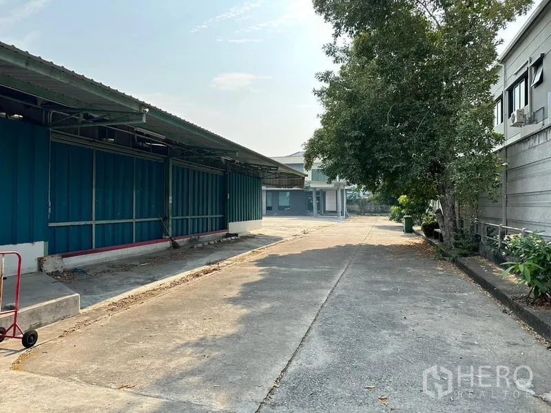 Warehouse for rent in Prawet, Bangkok - Concrete driveway alongside the warehouse building with a shade tree.