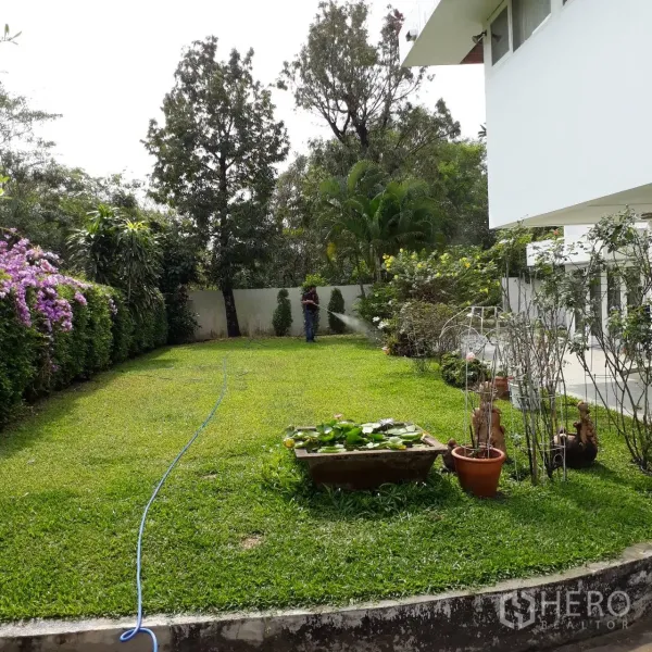 Detached House for rent in Khlong Toei, Bangkok - Large private lawn with hedges, flowering plants and a paved walk beside the house.