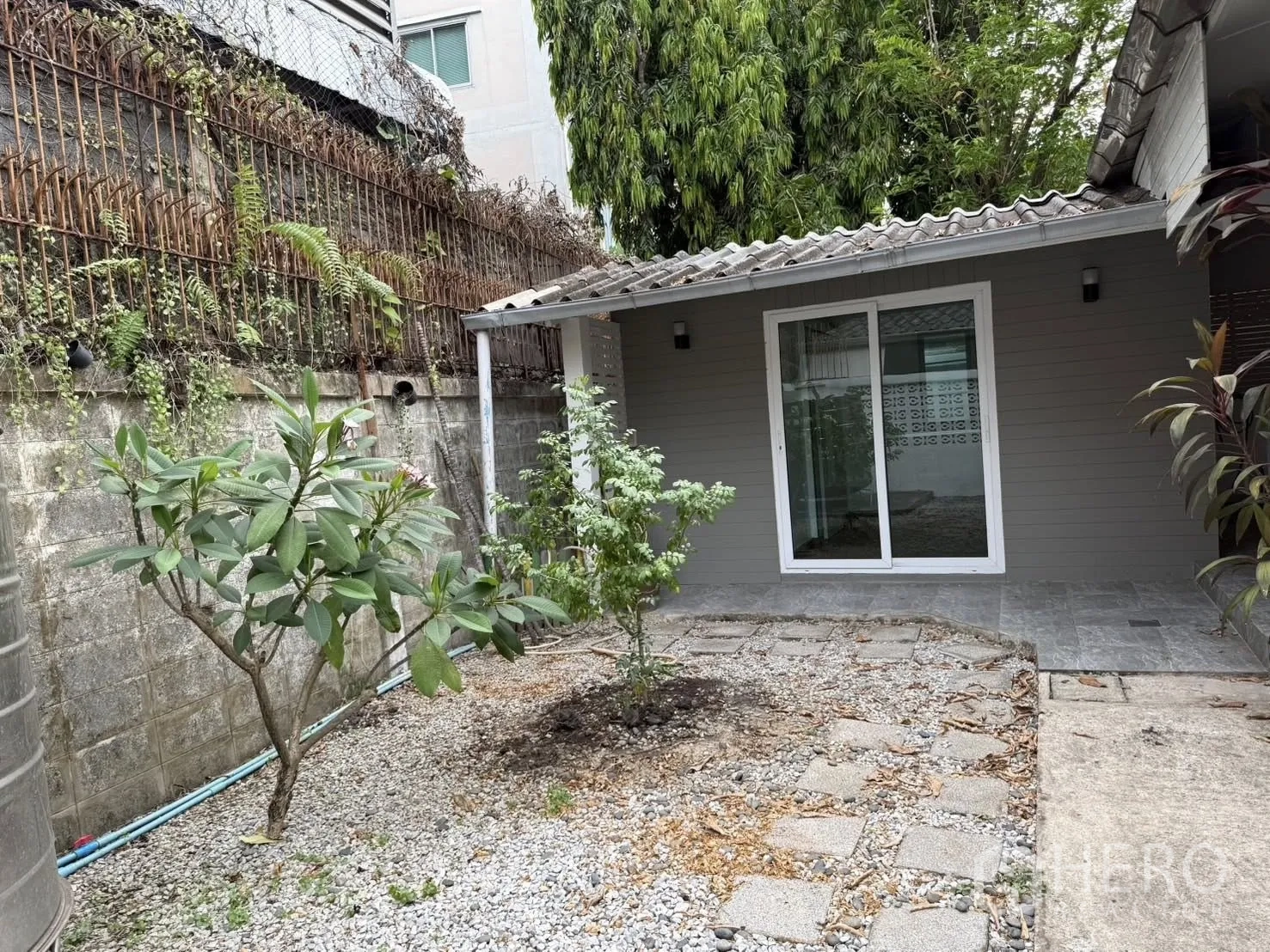 Detached House for rent in Khlong Toei, Bangkok - Private garden courtyard with plants, gravel walkway, and sliding glass door to a room.