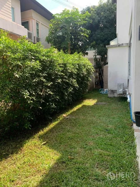 Detached House for rent in Prawet, Bangkok - Side lawn with trimmed hedge beside a detached house, bordered by neighboring walls.