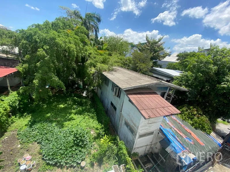 独立式住宅 出租在Khlong Toei, Bangkok - 俯视图：老式两层房屋与被树木环绕的绿色庭院