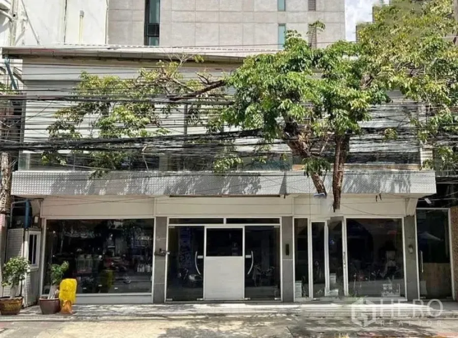 อาคารพาณิชย์ ให้เช่าในWatthana, Bangkok - อาคารพาณิชย์สองชั้นหันหน้าเข้าถนน หน้าร้านกระจกกว้าง มีร่มเงาต้นไม้.