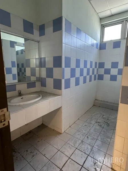 Factory for rent in Chon Buri - Restroom with white and blue checker tiles, a countertop sink, mirror, and light from a high window.