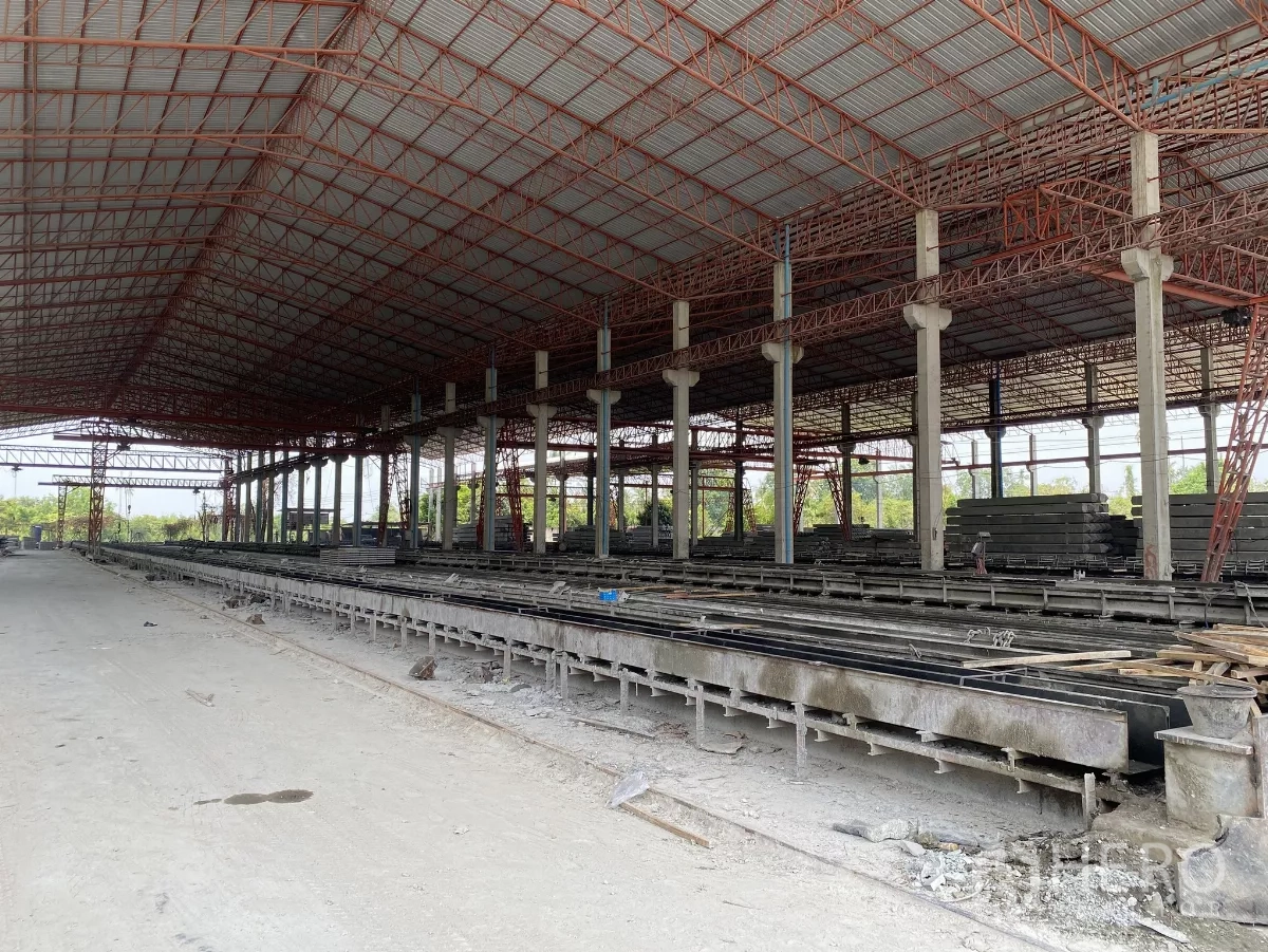 Factory for sale in Chon Buri - Large covered production hall with long concrete casting lines and open-sided ventilation.