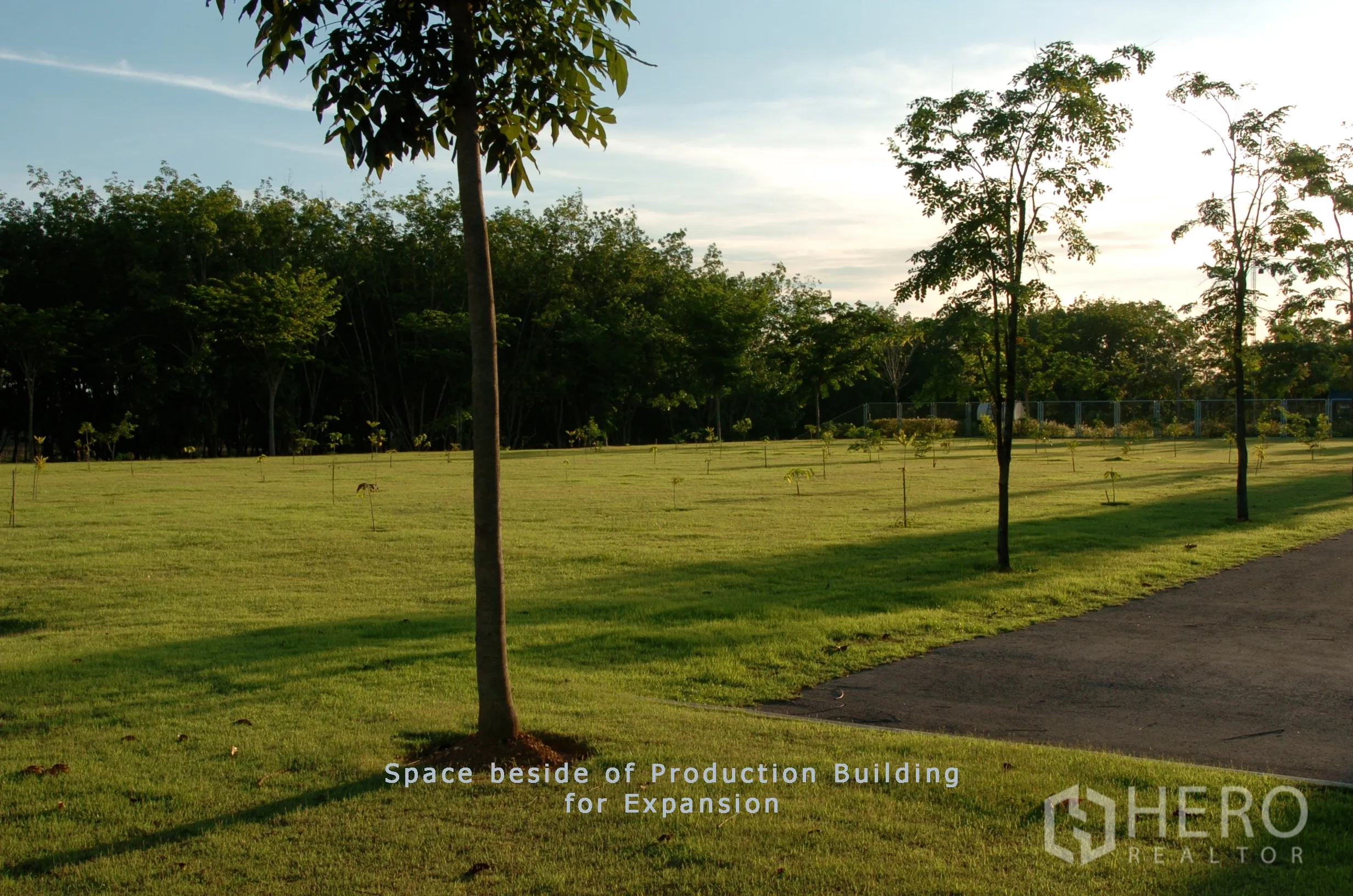 Factory for sale in Khao Chamao, Rayong - Open lawn beside the production building with young trees and a paved path, ideal for future expansion.