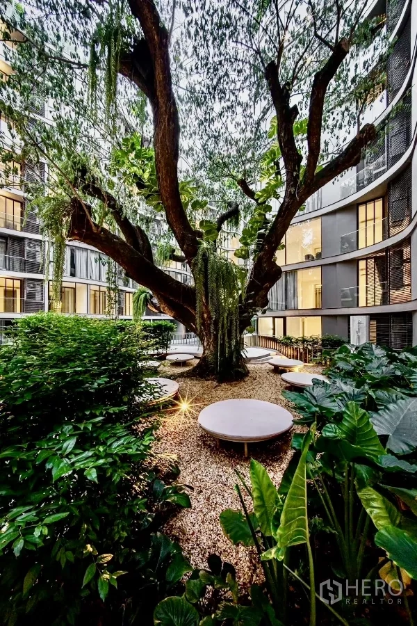 Condominium for rent in Khlong Toei, Bangkok - Lush courtyard garden with a mature tree and circular seating.