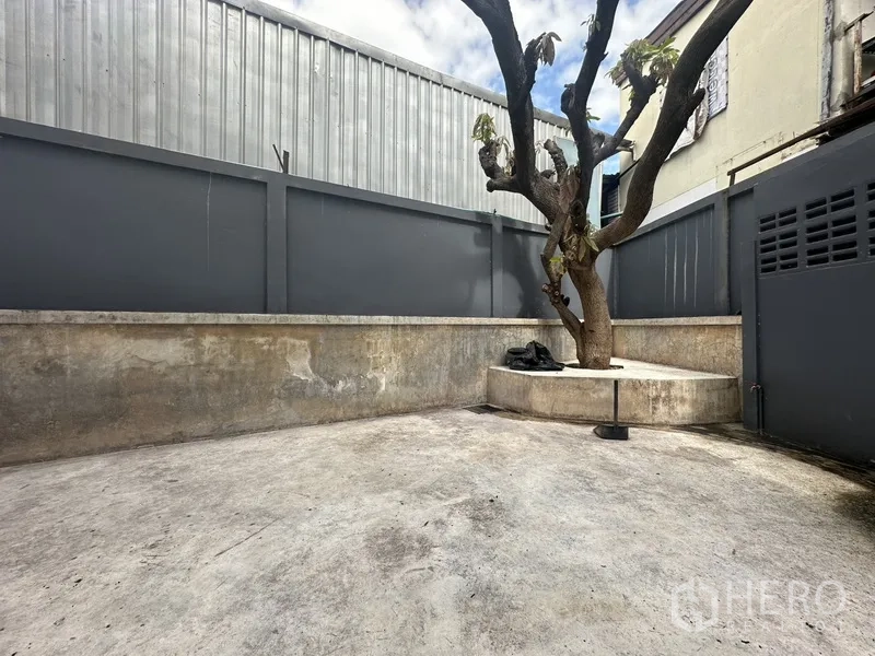 Home Office for rent or sale in Bang Na, Bangkok - Private courtyard with a raised planter and mature tree.