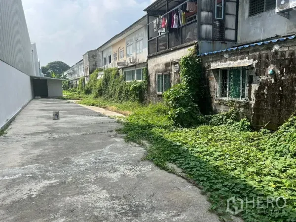 Warehouse for rent in Lat Krabang, Bangkok - Exterior side driveway beside the warehouse with greenery and neighboring buildings.
