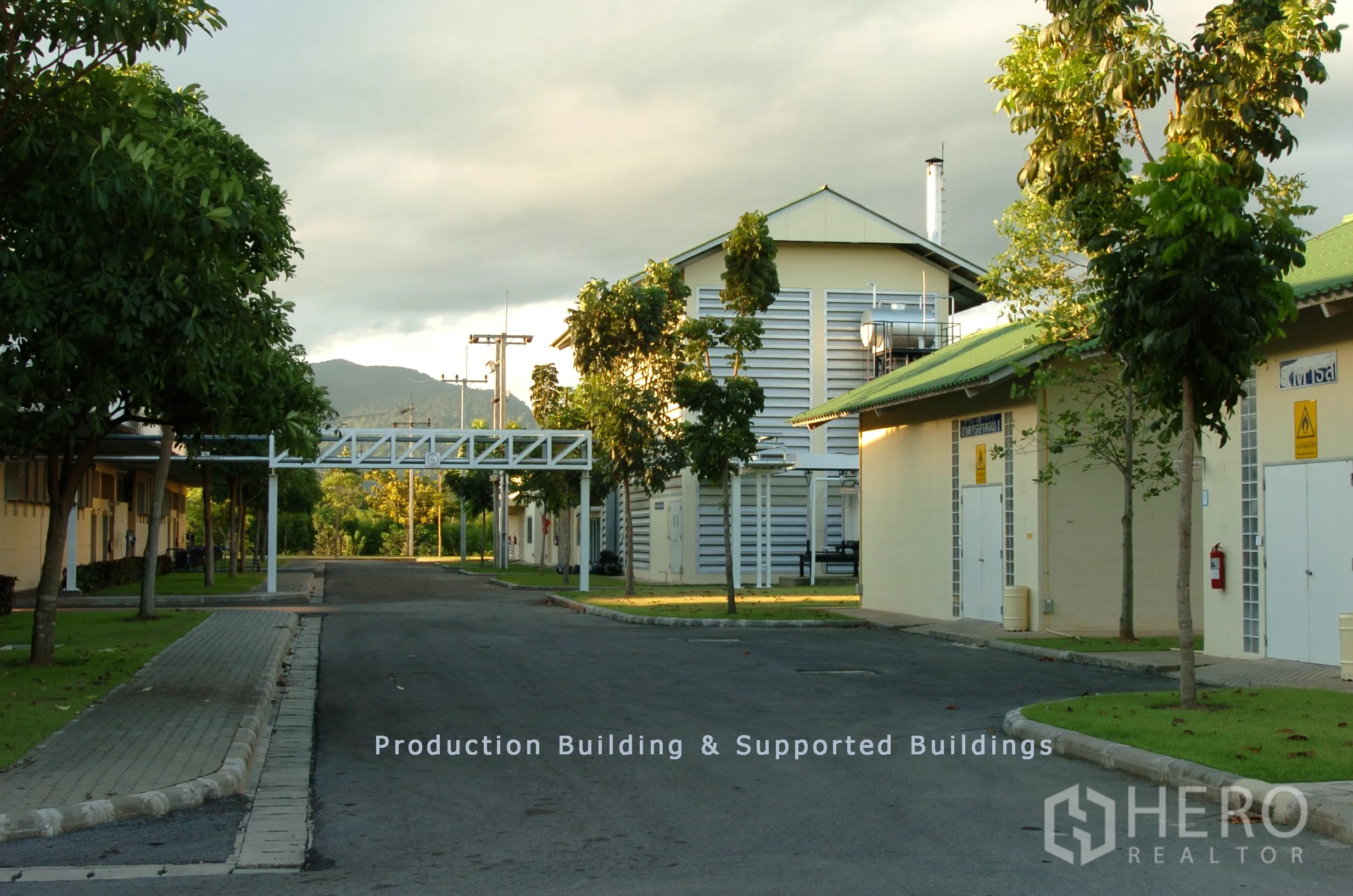 Factory for sale in Khao Chamao, Rayong - Tree‑lined internal road between production and utility buildings with an overhead service bridge.
