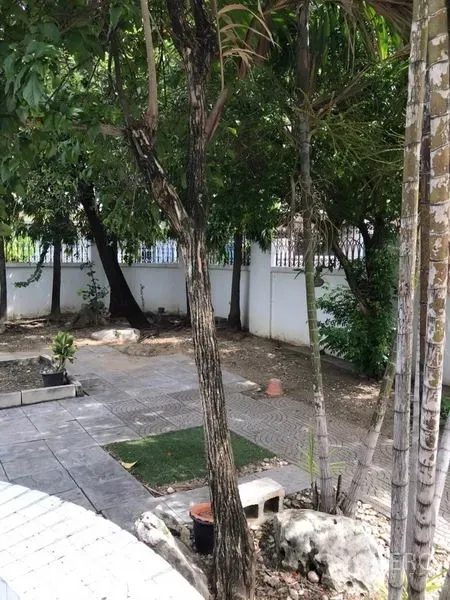 独立式住宅 出租在Phra Khanong, Bangkok - 侧院树荫花园，铺砖步道与白色围篱。