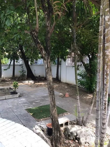 独立式住宅 出租在Phra Khanong, Bangkok - 侧院树荫花园，铺砖步道与白色围篱。