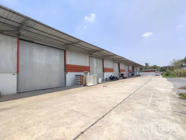 Warehouse for rent in Pathum Thani - Row of warehouses with large roller shutter doors, covered loading bays and a wide concrete yard.