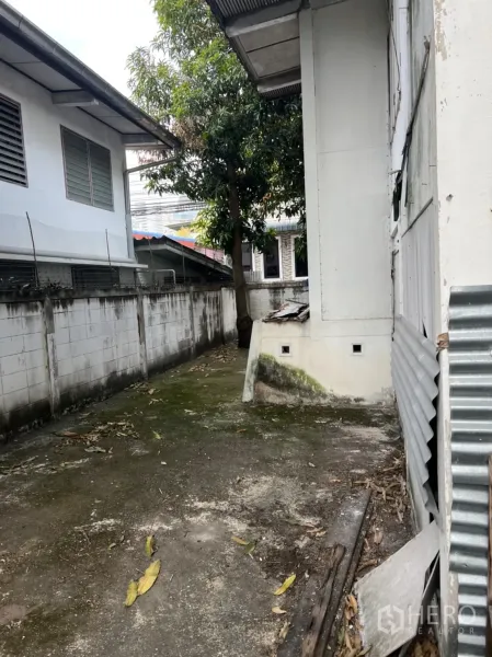 Detached House for rent in Sathon, Bangkok - Side yard beside the house with concrete path, perimeter wall, and mature tree.