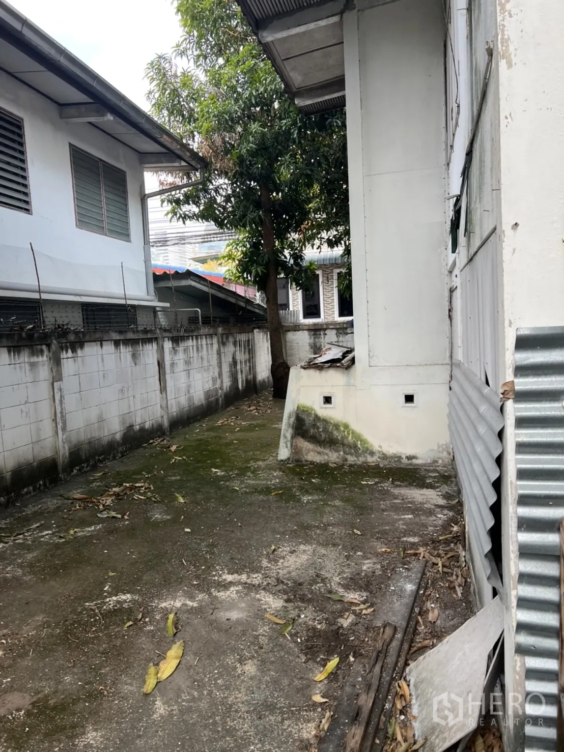Detached House for rent in Sathon, Bangkok - Side yard beside the house with concrete path, perimeter wall, and mature tree.